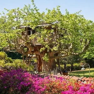 Glamping Dream Tree House, Côme